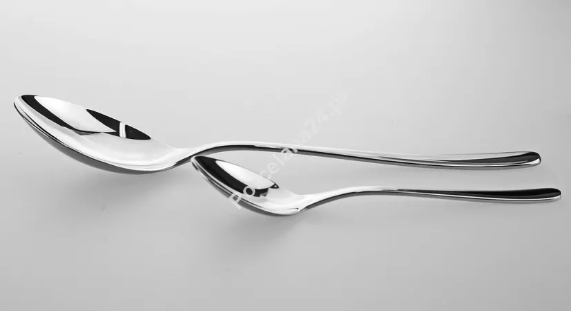 Łyżka stołowa (20 cm) Gerpol - Venus - wysoki połysk