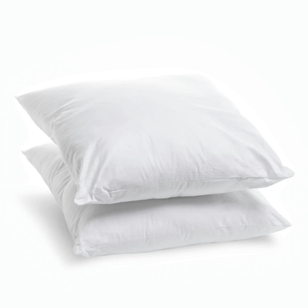 COTON BIO - Lot de 2 oreillers moelleux coton bio 60x60cm