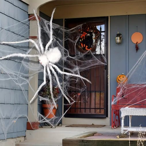 NNETM Creepy Crawly: The Halloween Spider Showstopper