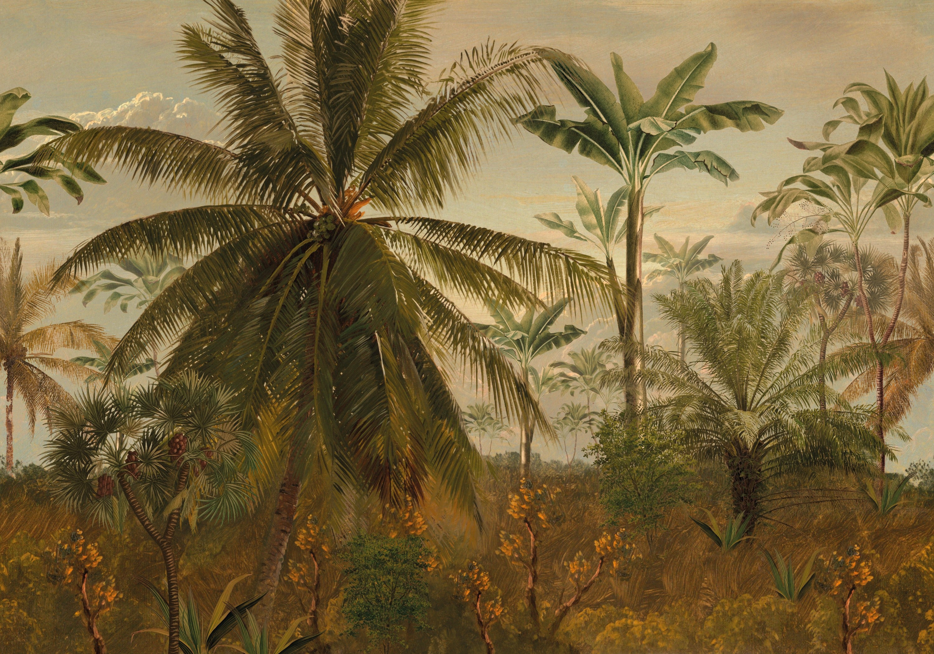 LOOKS by Wolfgang Joop Fotobehang - Jungle Ochtendzon - 270x350cm