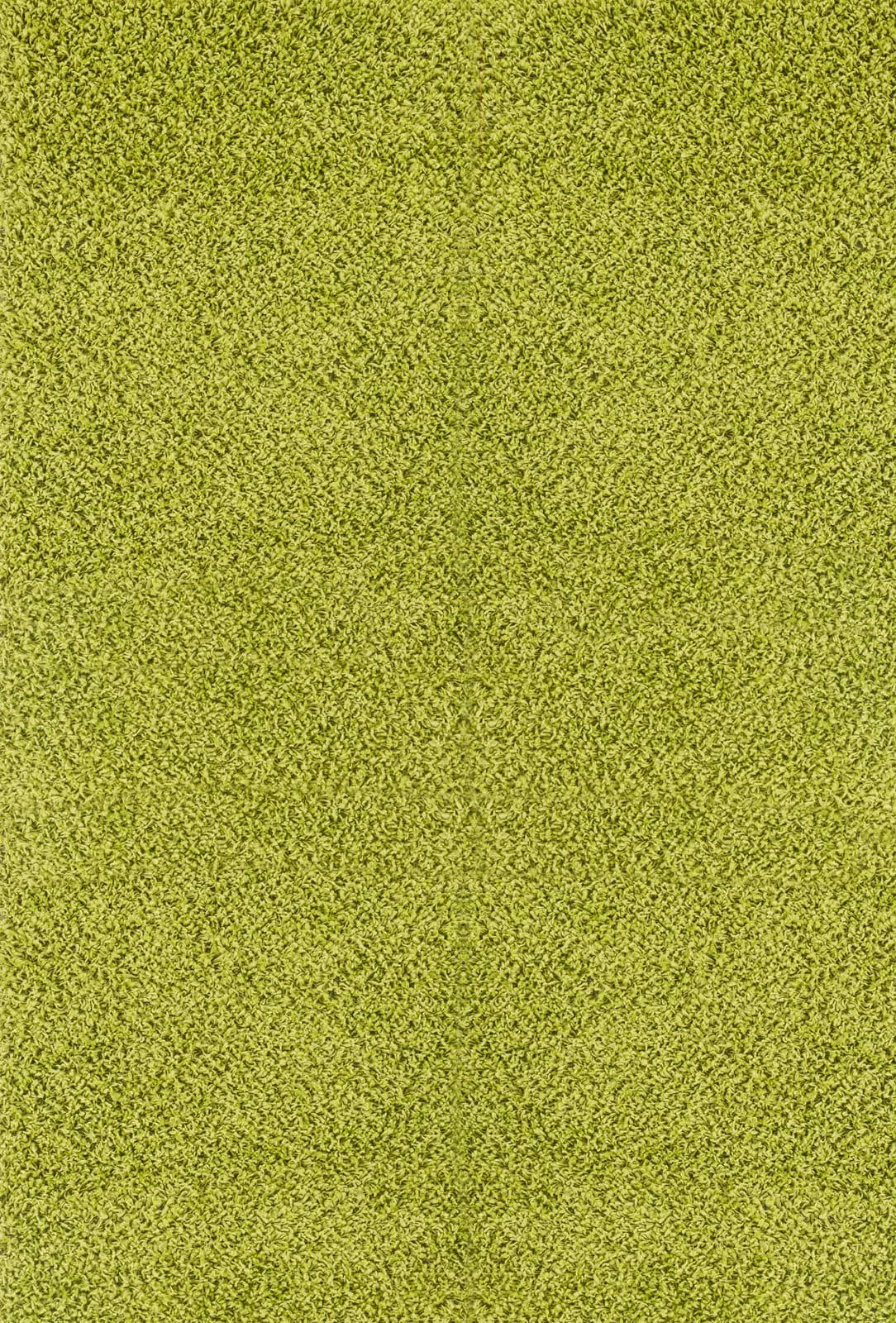 LILLY - Tapis Shaggy Uni Chic Vert 100x200