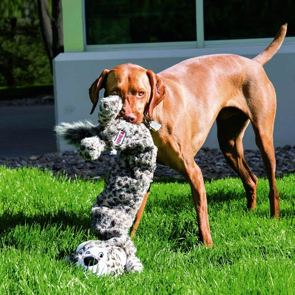 Hundespielzeug, mehrfarbig
