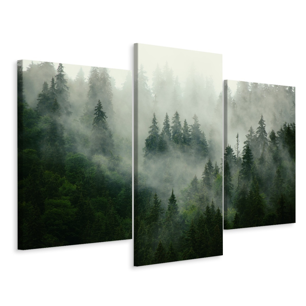 Obraz Ścienny Tryptyk LAS WE MGLE Efekt 3D 60x40cm