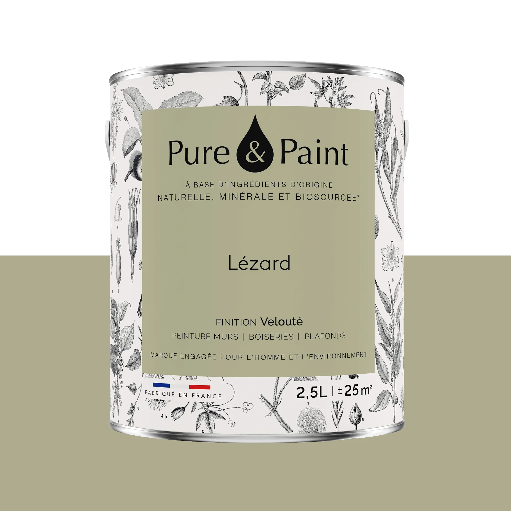 Pure and Paint Peinture Peinture LÉZARD 2,5 L