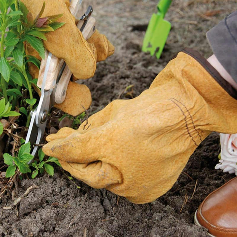 - Gants jardinage en cuir