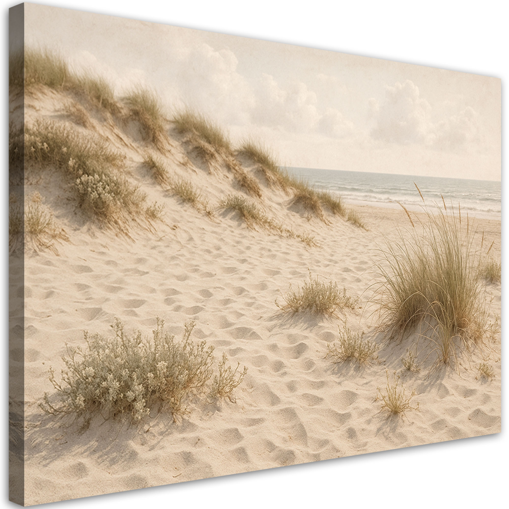 Obraz na płótnie do salonu sypialni, Plaża Wydmy Trawy Shabby Chic 30x20