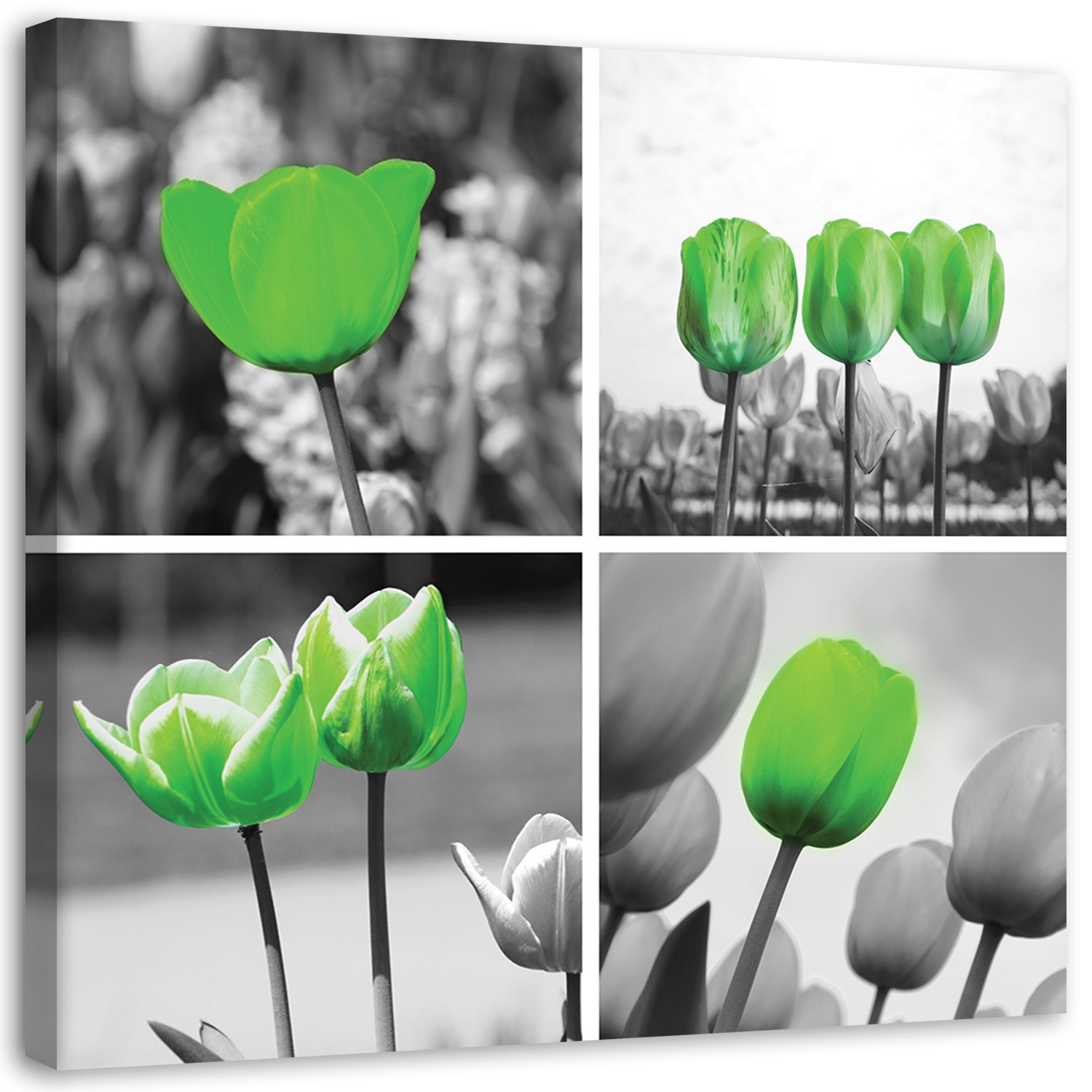 Feeby Obraz na płótnie Zielone tulipany kolaż 30x30