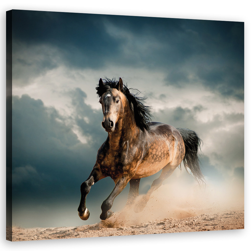 Feeby Obraz na płótnie, Galop konia 30x30