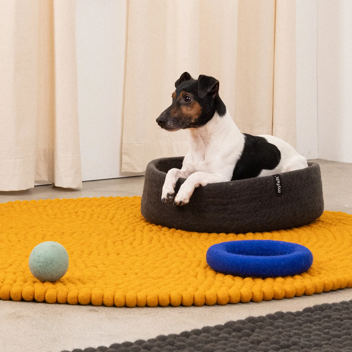 myfelt - Kuno Hundekorb