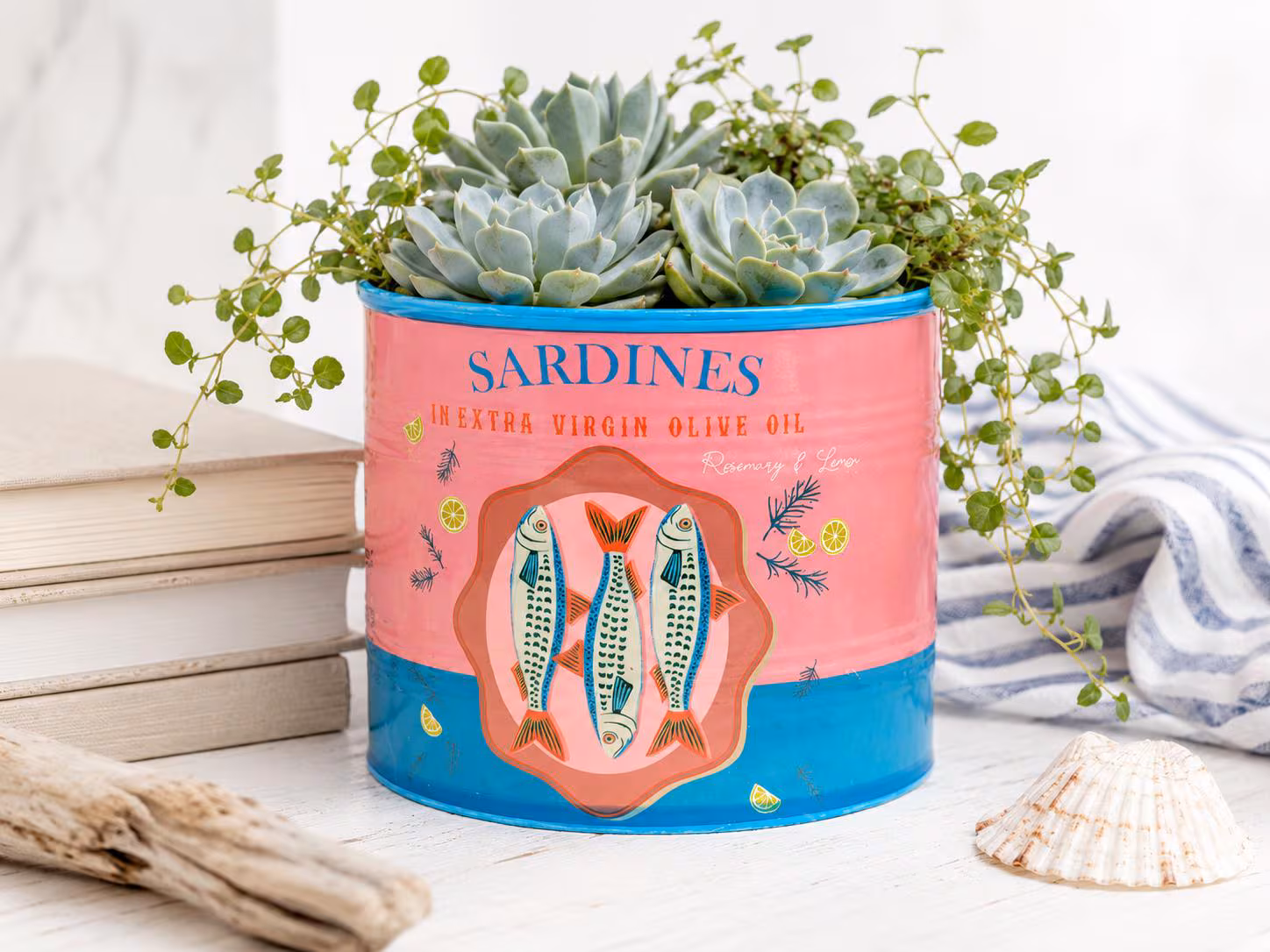 Pink Blue Sardines Can Planter | Pot for Herbs, Plants, Succulents