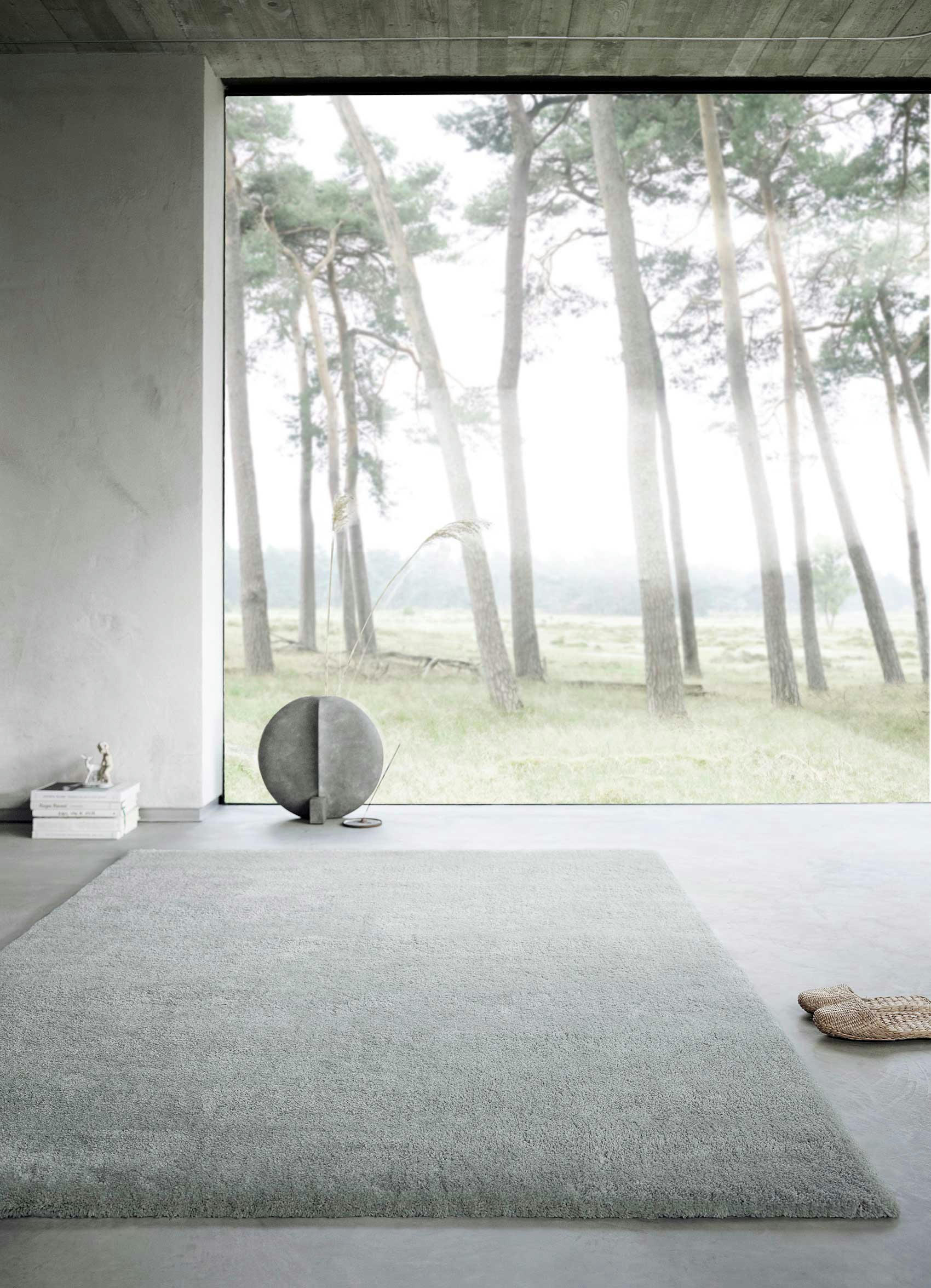 EMILIA - Tapis poils longs douces microfibre gris argent 130x190