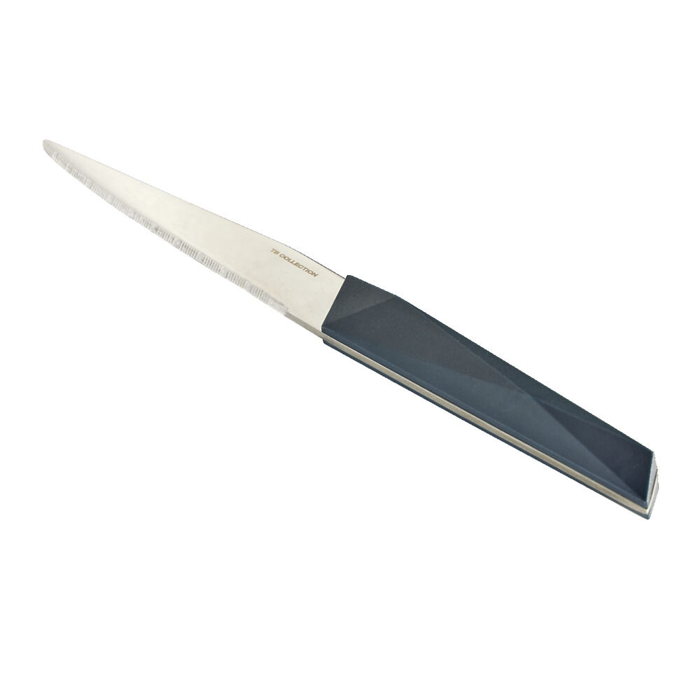Couteau à steack inox manche plastique (3 modèles)