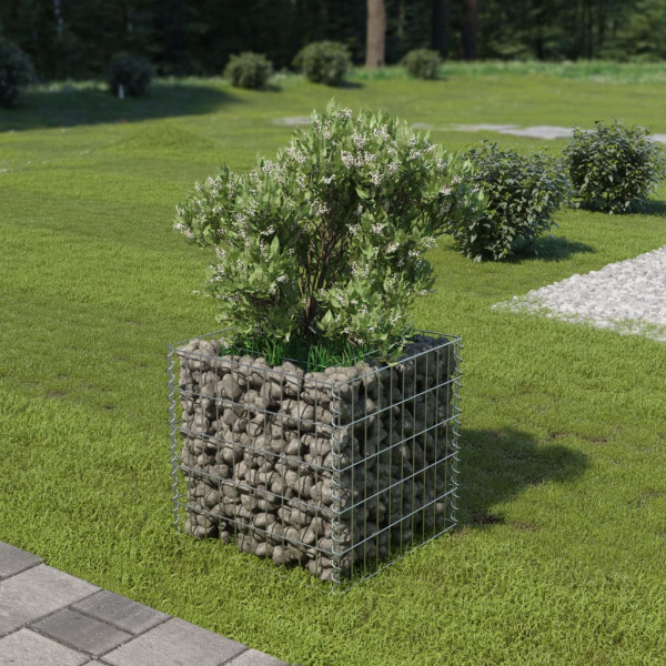 Donica gabionowa Srebrny 50 x 50 x 50 cm Stal vidaXL