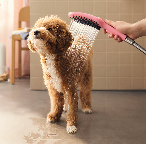 Douchette à main pour chien, 3 jets, rose, Hansgrohe Dogshower