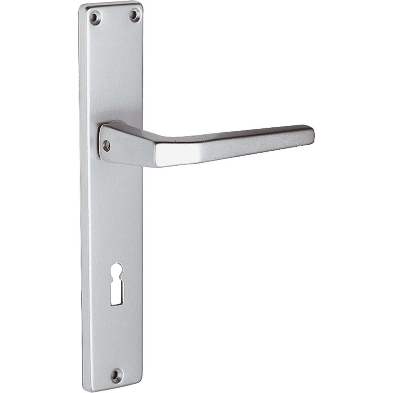Poignée de porte avec plaque en aluminium argentée 110 mm 2 pièces