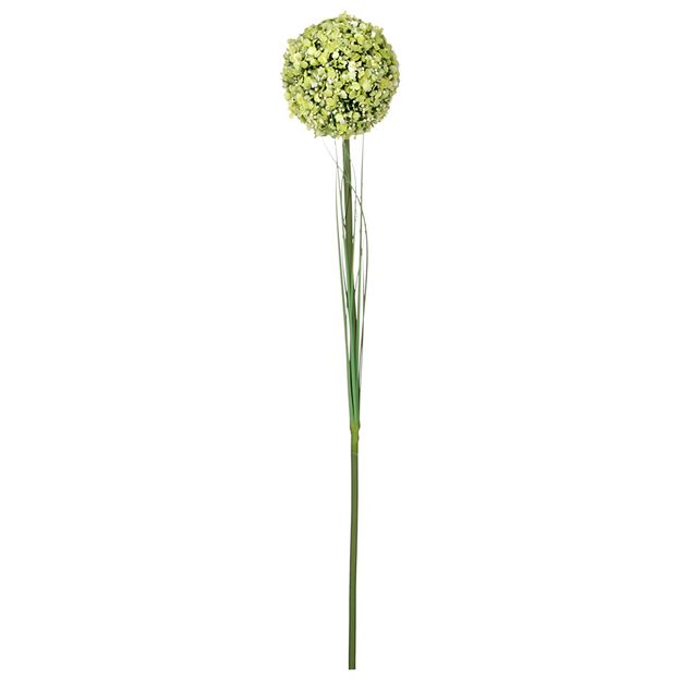 BOUQUET DELICATO
