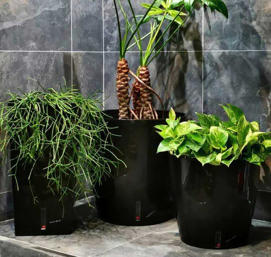 - Pot en plastique rond avec réserve d'eau 30 cm eva noir