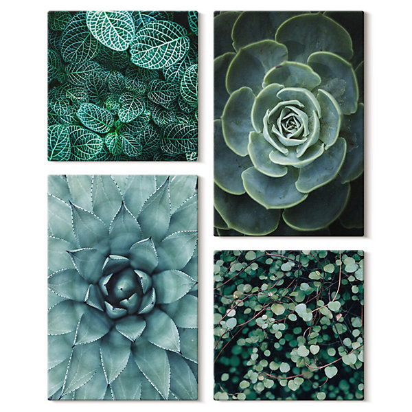 Décoration Murale Impression sur Toile pour salon Wallfluent Gros plans plantes feuilles 4 pcs