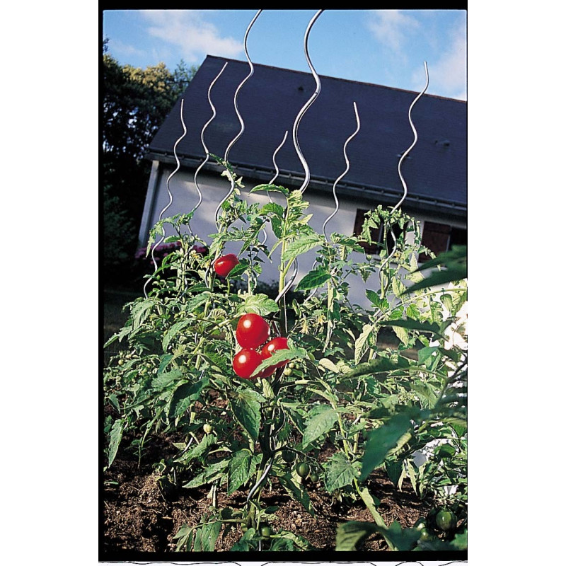 Tuteur en spirale pour tomates 180 cm NORTENE