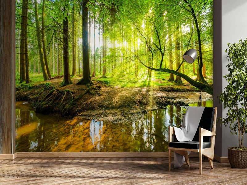 Feeby Fototapeta, Las potok strumień promienie słońca natura 150x105