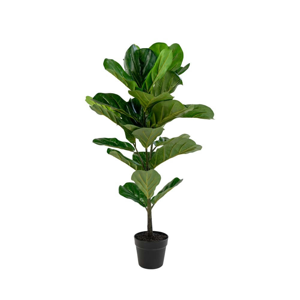 FIDDLE LEAF TREE - Plante artificielle H100 cm vert