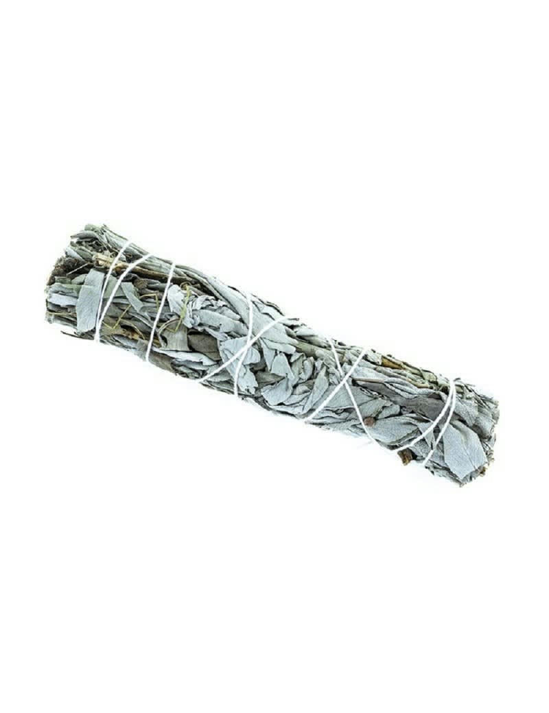 SAUGE - Tresse sauge blanche de Californie