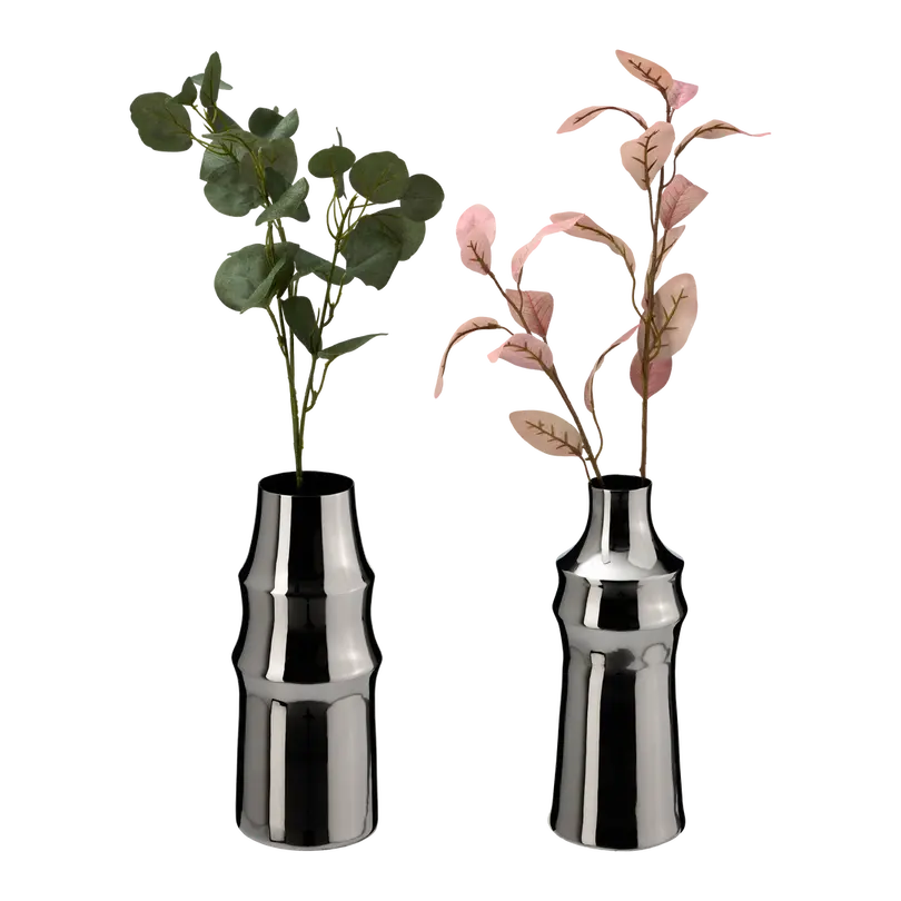 Vase Lucida