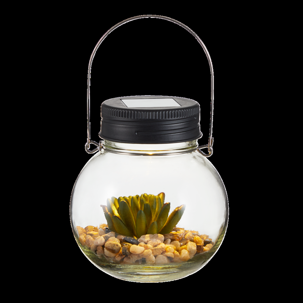 For Living Glass Light with Succulent, 5.12-in