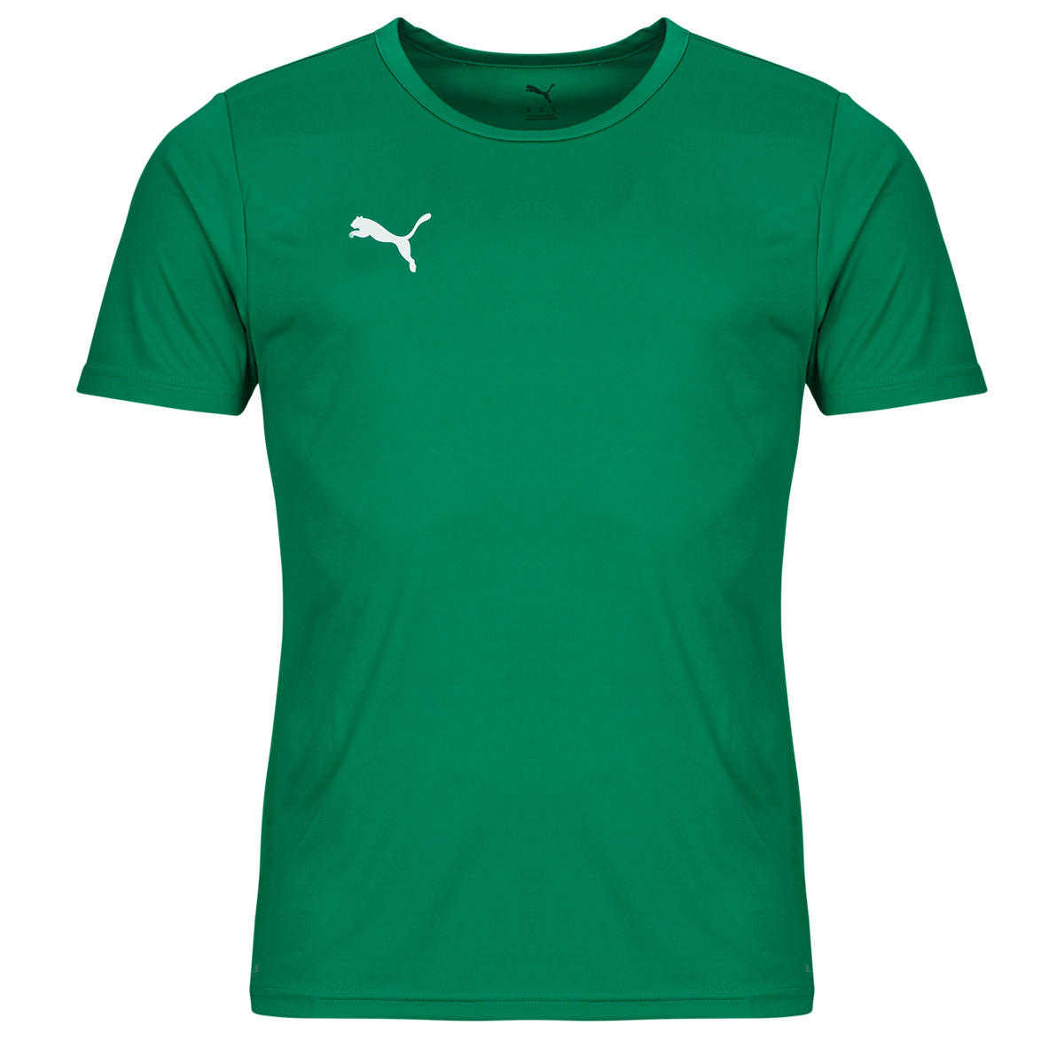 Puma - TEAMRISE MATCHDAY - Green