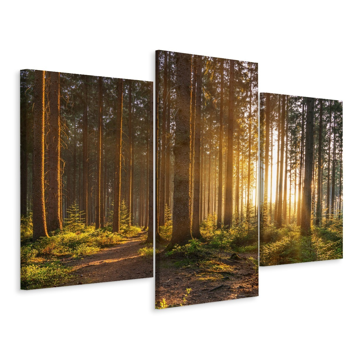 Obraz 3-Częściowy DRZEWA Zachód Słońca 3D 60x40cm