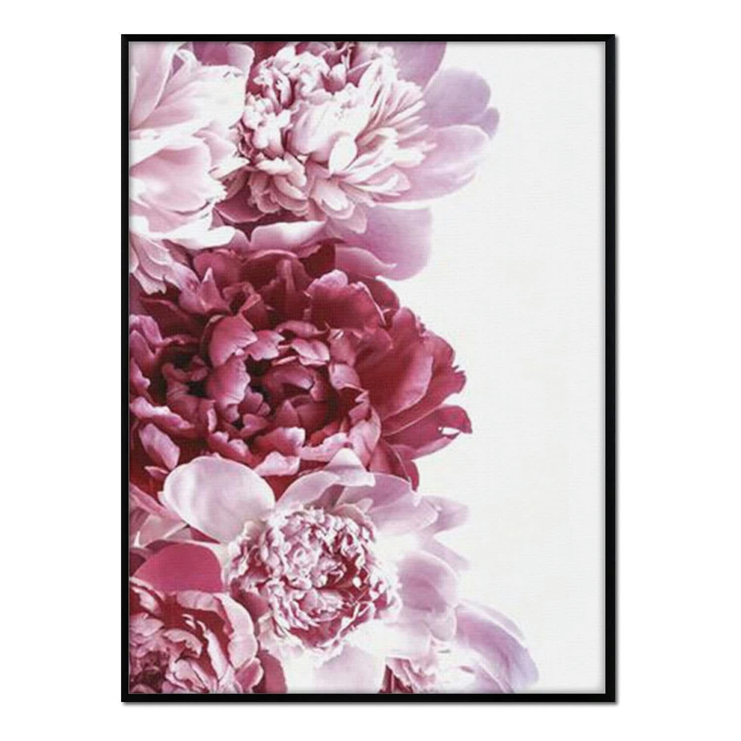 FLORES - Affiche avec cadre noir - Dahlias roses - 50x70