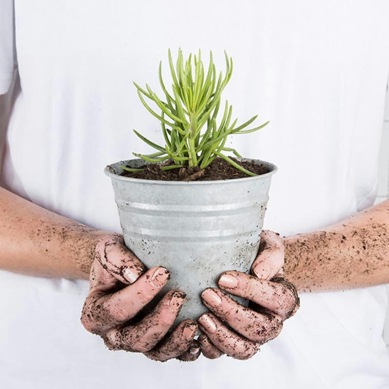 - Pot de fleurs Zinc 13 cm