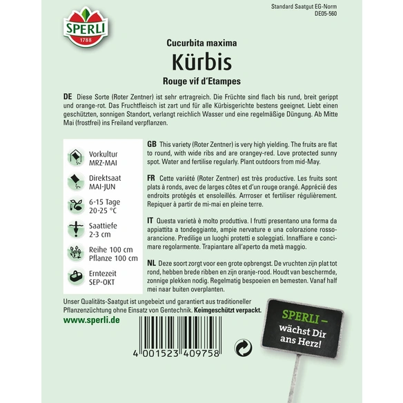 Kürbis »Rouge vif d'Etampes«, 
