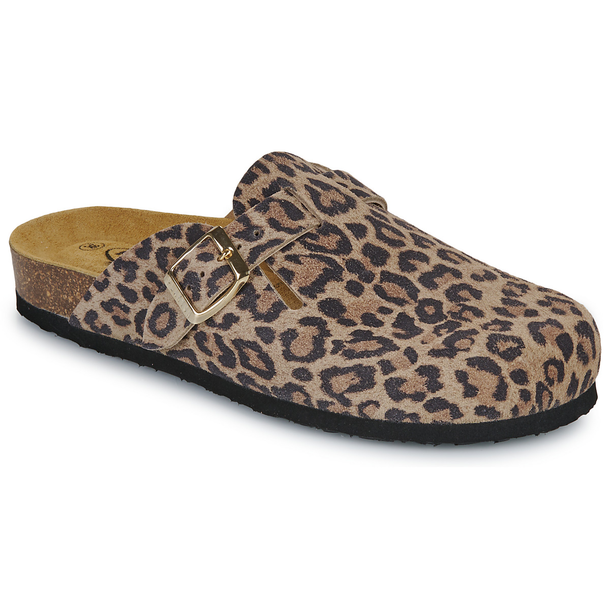 Plakton - BLOGG - Leopard