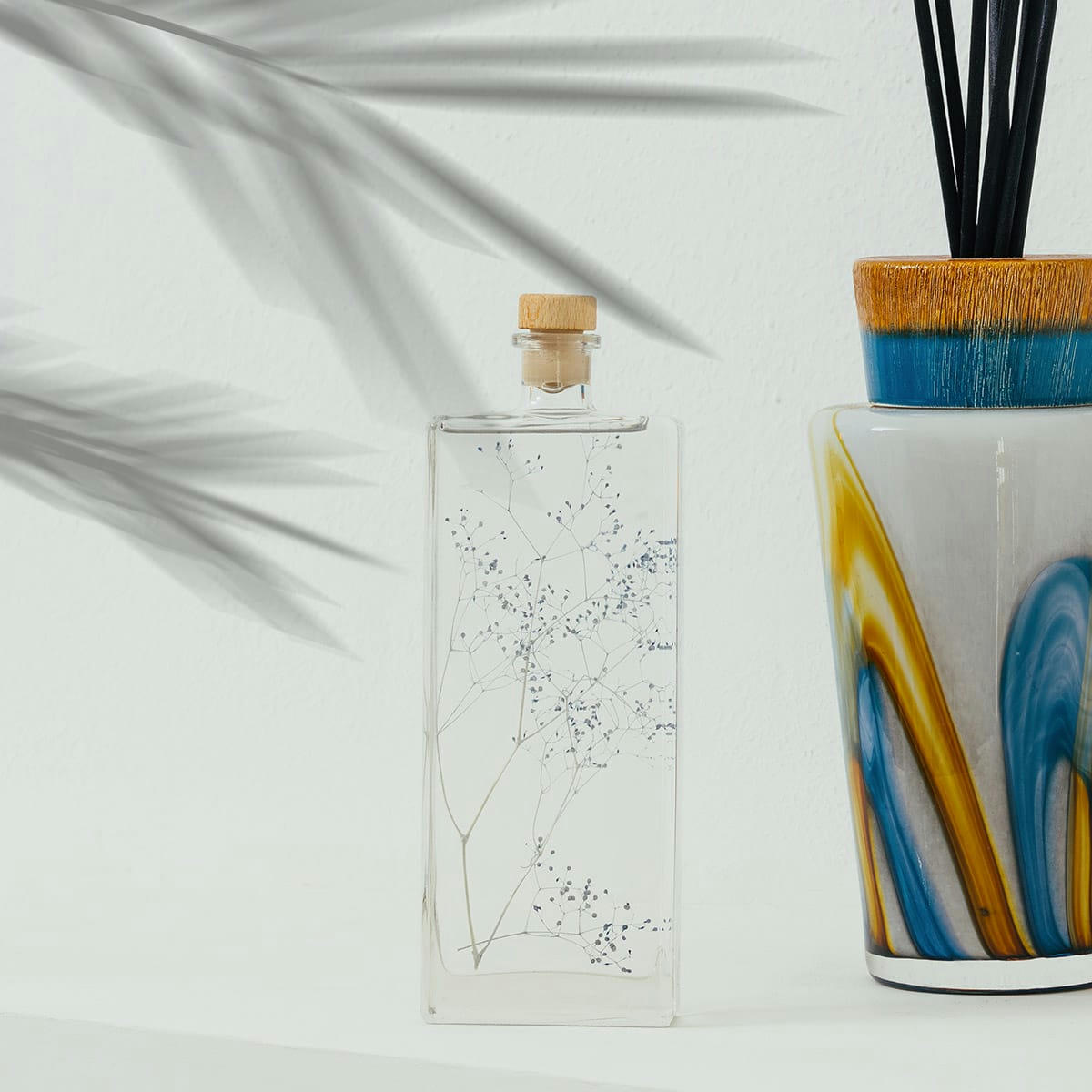 HERBARIUM DE THEOPHILE - Plante immergée Gypsophile bleue