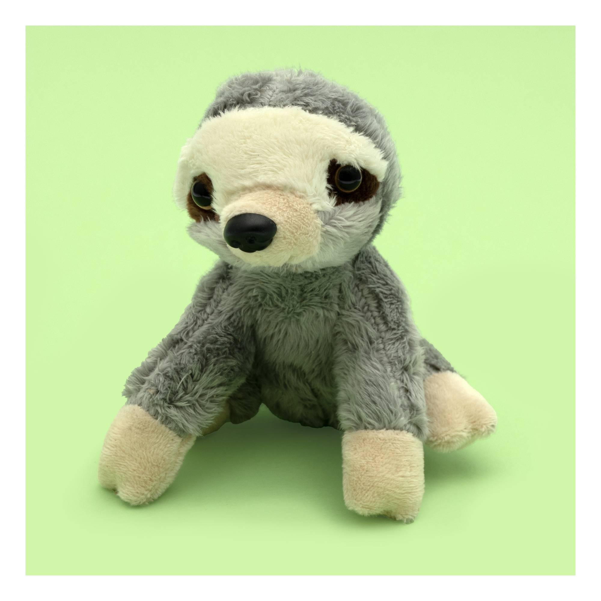 Sloth Plush Toy