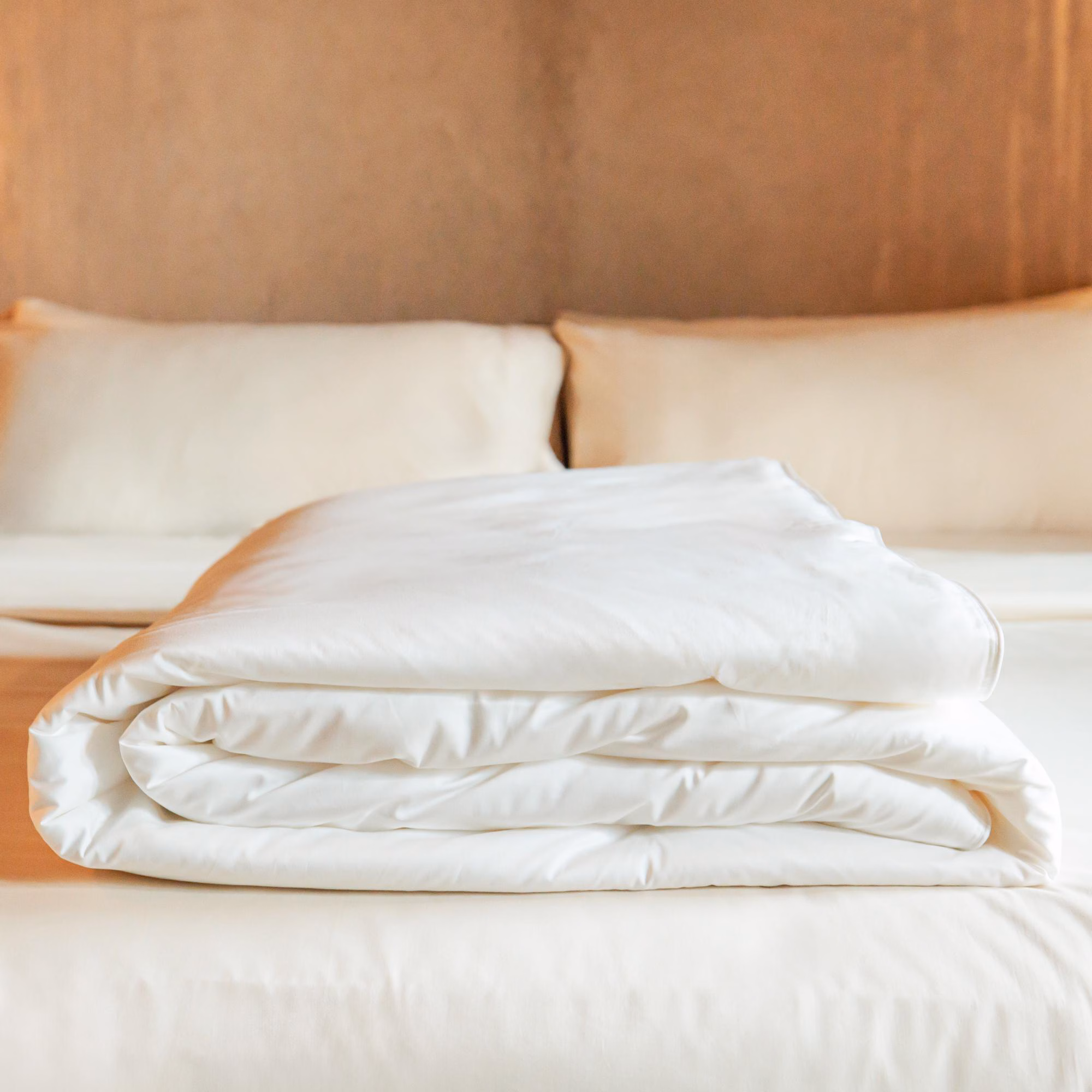 Mulberry Silk-filled Duvet Insert with Luxe Cotton: Highest Grade Double Cocoon Silk, Hypoallergenic Thermoregulating Soft Fluffy