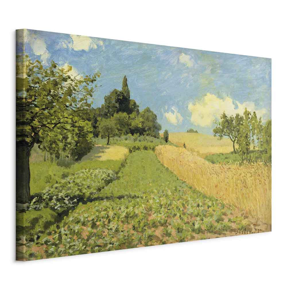 Obraz Pole pszenicy 30 x 20 cm