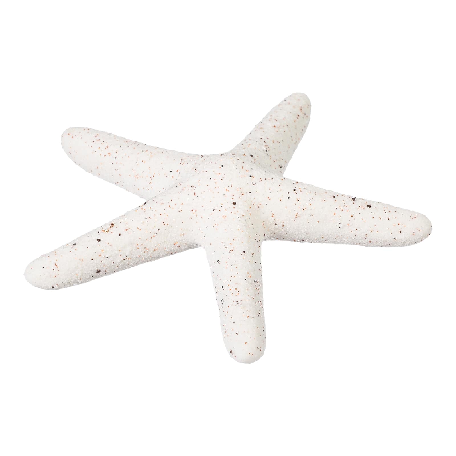 Deko-Objekt Seestern Creme, ⌀ 8.5 cm, H 15 mm