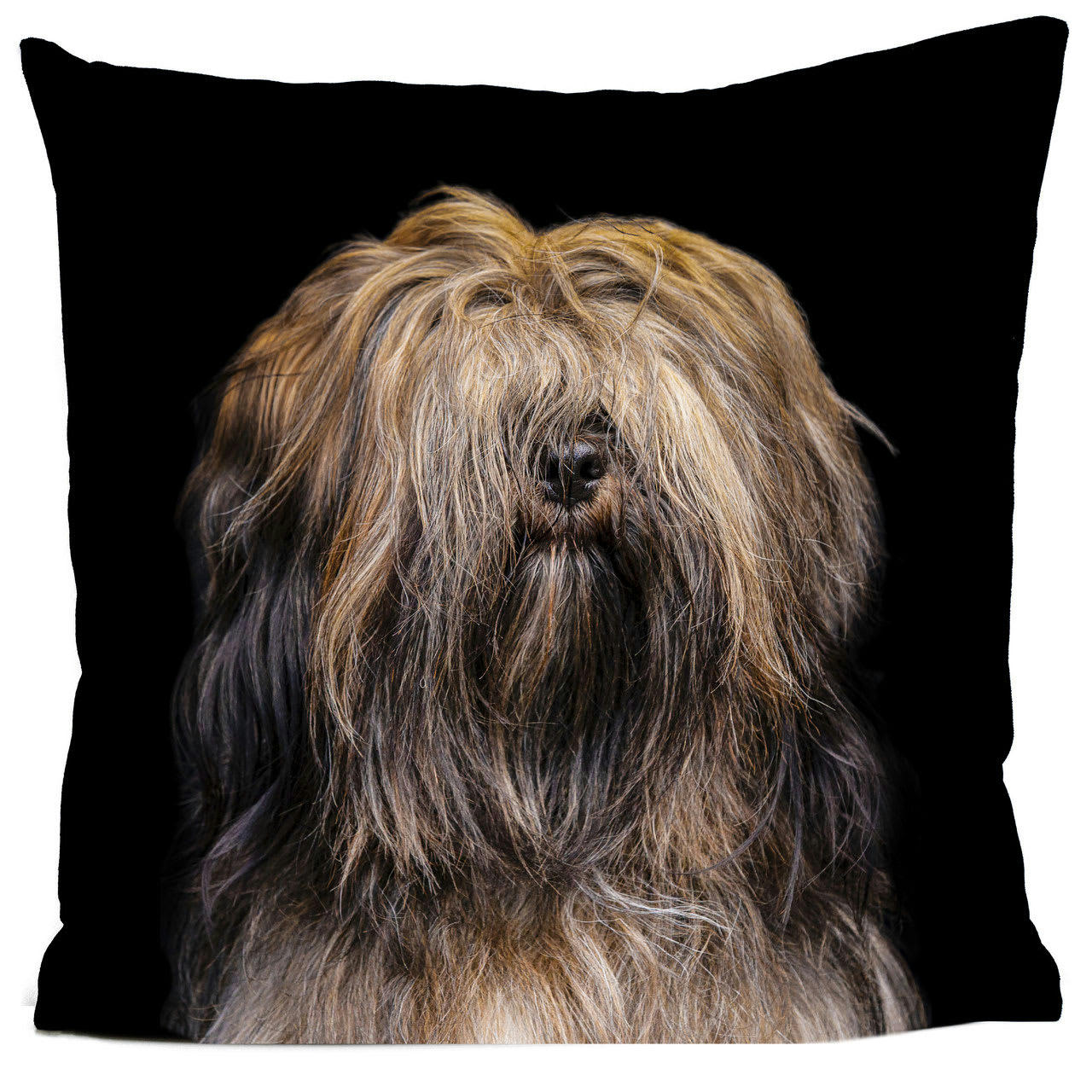 - Coussin chien suédine noir 40x40cm