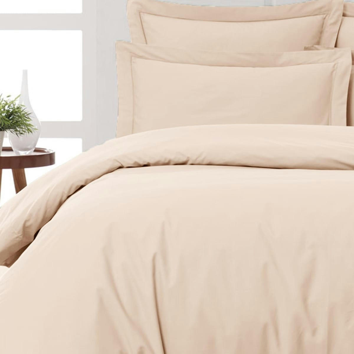SOFT PERCALE - Drap plat en percale de coton  petale 270x300cm