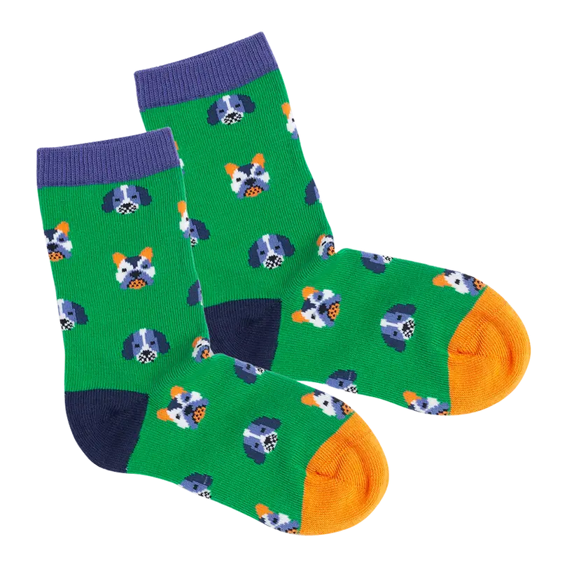 Socken Dog Portraits