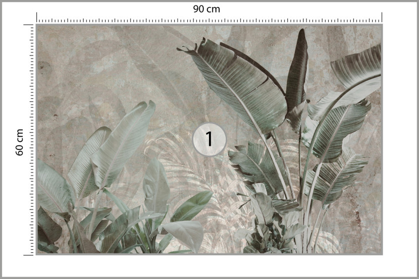 Fototapeta Liście Bananowe Na Betonie 90x60cm
