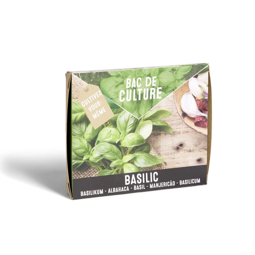 Bac de culture basilic avec graines et terreau
