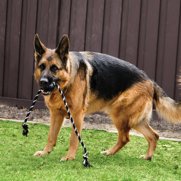 Hundespielzeug, mehrfarbig
