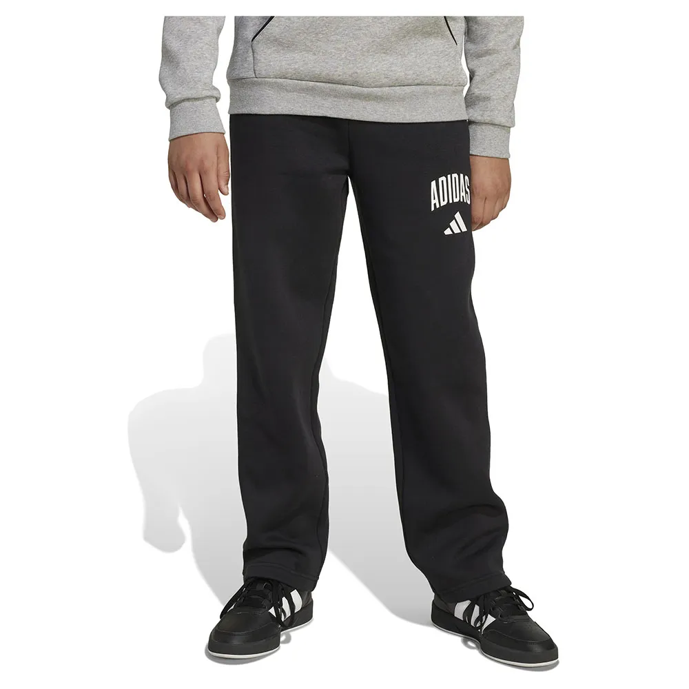 adidas Seasonals Essentials Collegiate Typography pants