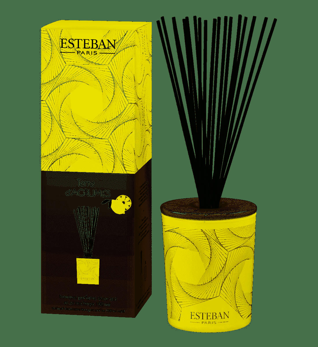 TERRE D'AGRUMES - Bouquet parfumé déco 100ml