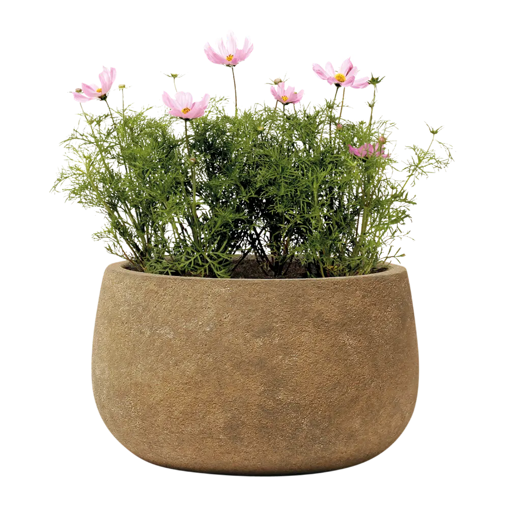 Gartentopf Rockline