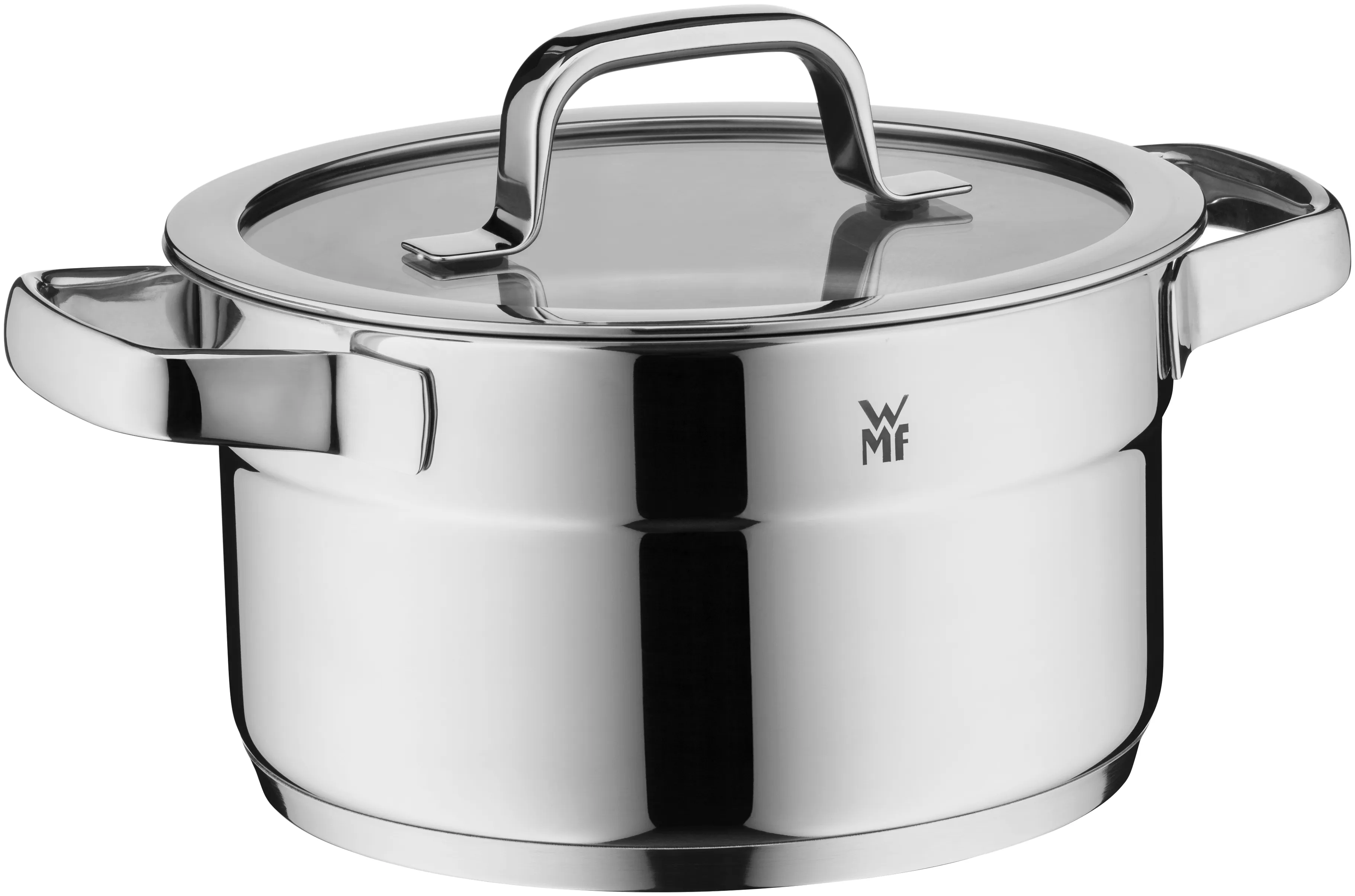 WMF Compact Cuisine Soup Pot 20 cm with lid