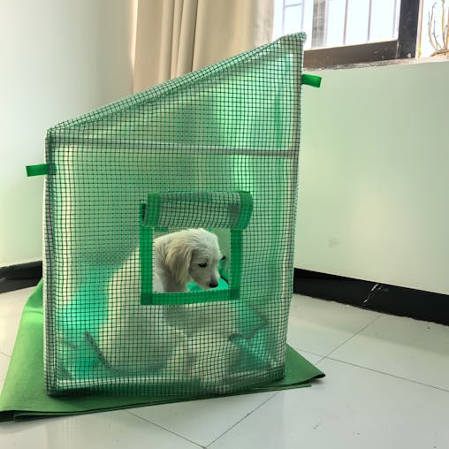 NNETM Dome Greenhouse Shelter for Plants & Pets